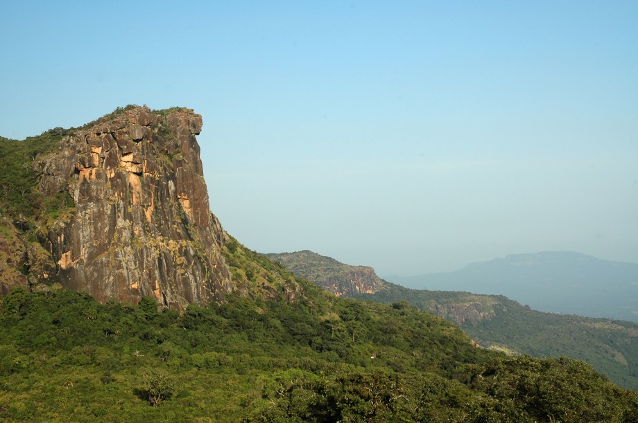 forêt Guinée Conakry